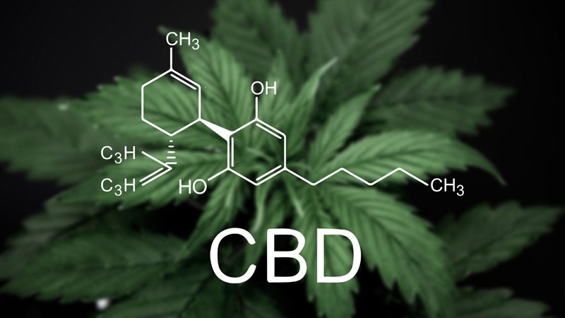 Side effects of CBD usage you should know