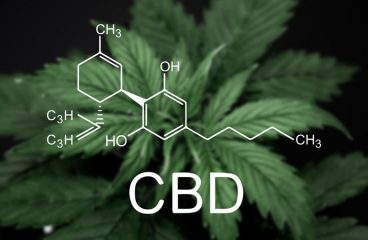 Side effects of CBD usage you should know